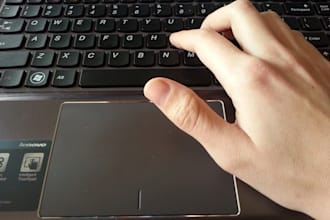 write an article for your blog or website
