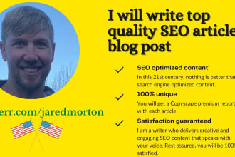 write top quality SEO articles or blog posts