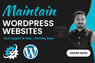do wordpress website maintenance and wordpress support or help