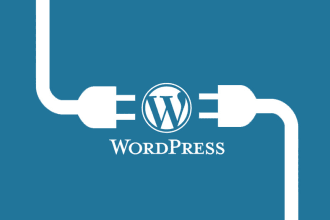 do french wordpress custom support