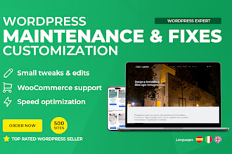 maintain, fix and customize your wordpress site