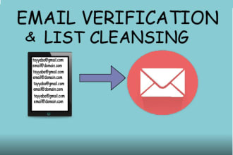 do email verification and email list cleaning service 250k in 24 hrs