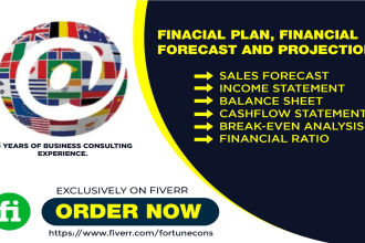 create investor ready financial plan forecast and projection