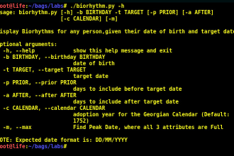 automate tasks with python or bash or zsh shell script