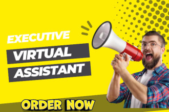 be your executive, administrative virtual assistant for social media