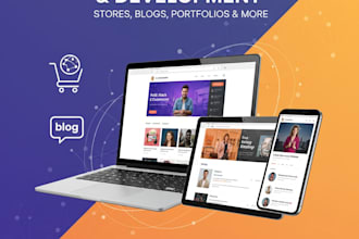 design and develop responsive website store ecom business