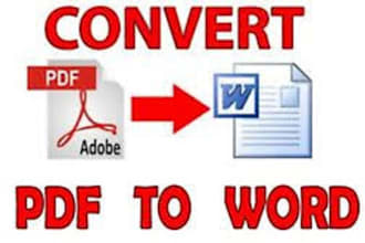 do PDF to word or excel conversion and vice versa