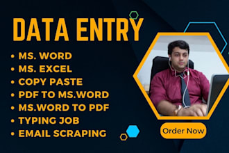 do data entry copy and paste work and email scraping
