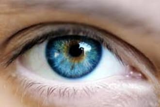 submit your website  or blog URL to 70+ top search engines, including Google