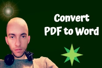 do professionally convert your PDF file into a word or google doc