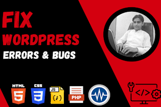 fix wordpress issues, do wordpress customization and website maintenance