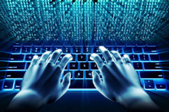 web research and data entry job quick and cheap