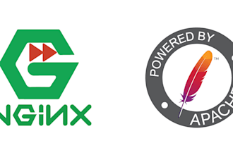 setup apache nginx server