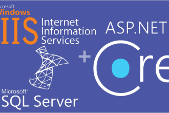 host aspnet core on windows or vps or plesk panel or shared hosting