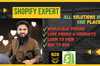 solve shopify theme bugs issue or any customization issue