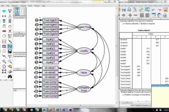 help with exploratory efa and confirmatory factor analyses cfa on spss amos pls