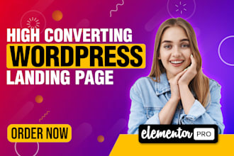 create a professional and responsive wordpress landing page