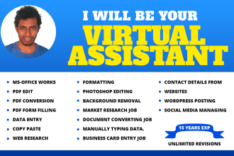 be your virtual assistant, ms office work, pdf work