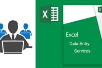 provide best quality excel data entry services