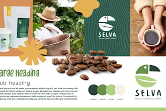 design a custom logo and branding board design