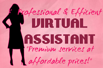 be your efficient virtual assistant and web researcher