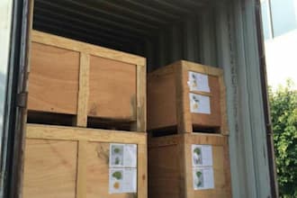 do china product supplier sourcing shipping agent