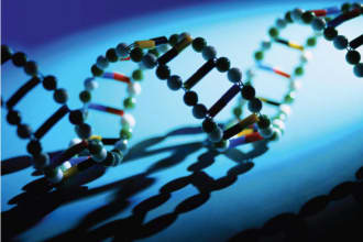 do biology and biotechnology essays