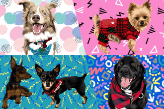 draw your pet into a cartoon portrait