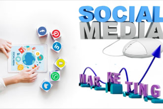 setup and manage facebook, instagram ads, and create sm content