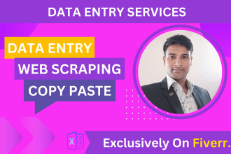 do data entry, web scraping, excel, typing, copy paste work