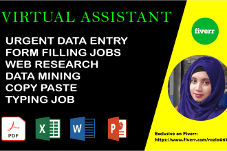 be your virtual assistant for data entry web research and administrative task