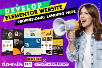 design elementor website with professional landing page