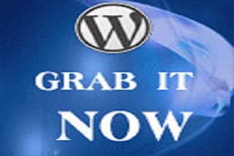 do any wordpress customization and design wordpress website