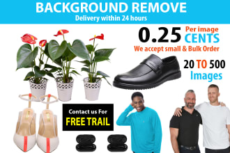 photoshop editing background removal 500 images in 24 hrs