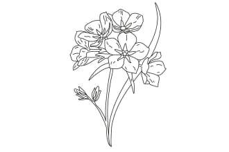 create your plants and flower in line art illustration