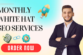 provide monthly SEO services