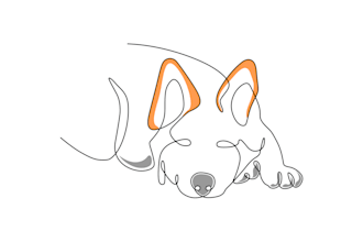 Review  illustrate any photo in one continuous line within 2 hours