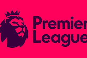 manage your fantasy premier league fpl football  team