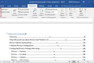 make table of content and solve ms word page number issues