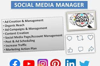 be your social media marketing manager and content creator