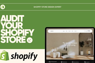 audit your shopify store professionally