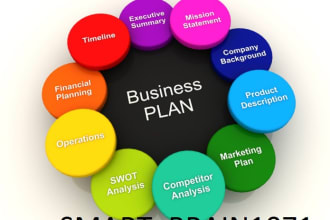 develop a loan or investment business plan or business proposal market research