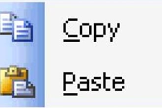 do copy paste work