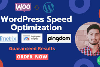 do wordpress speed optimization or increase wordpress website speed