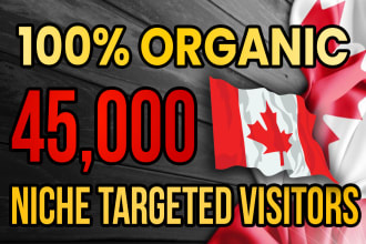 drive real canada targeted web traffic