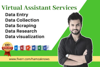 be your virtual assistant for data entry, data mining, web research, copy paste