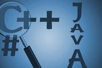 do your programming and algorithm related work