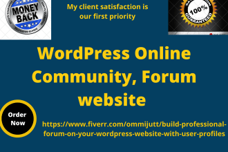 build a professional wordpress forum, online community  website