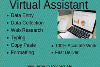 do english typing graphs,scientific,mathematical equations,formulas data entry