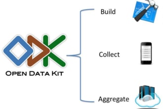 do odk and kobo questionnaires
